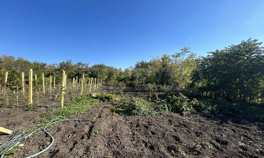 Продава КЪЩА | Imot.bg — изображение 9