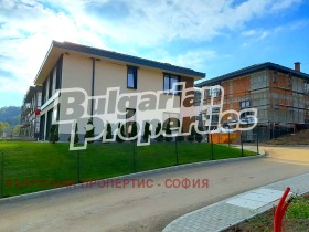 ������ ������� ����