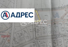 ������ ������� ������