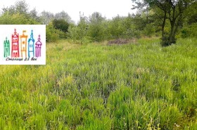 ������� ������ | Imot.bg � ����� ������ 8