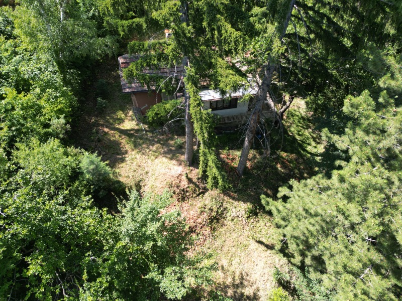Продается  Сюжет София , Драгалевци , 1240 кв.м | 49956601 - изображение [17]