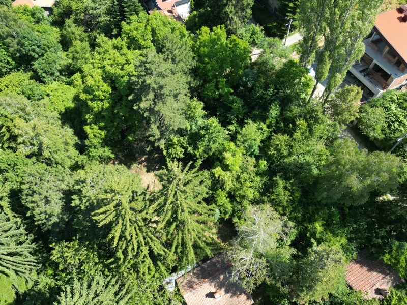 Продается  Сюжет София , Драгалевци , 1240 кв.м | 49956601 - изображение [13]
