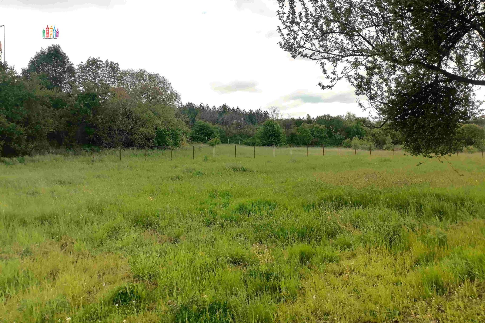Продава ПАРЦЕЛ, гр. Перник, Църква, снимка 3 - Парцели - 55031269