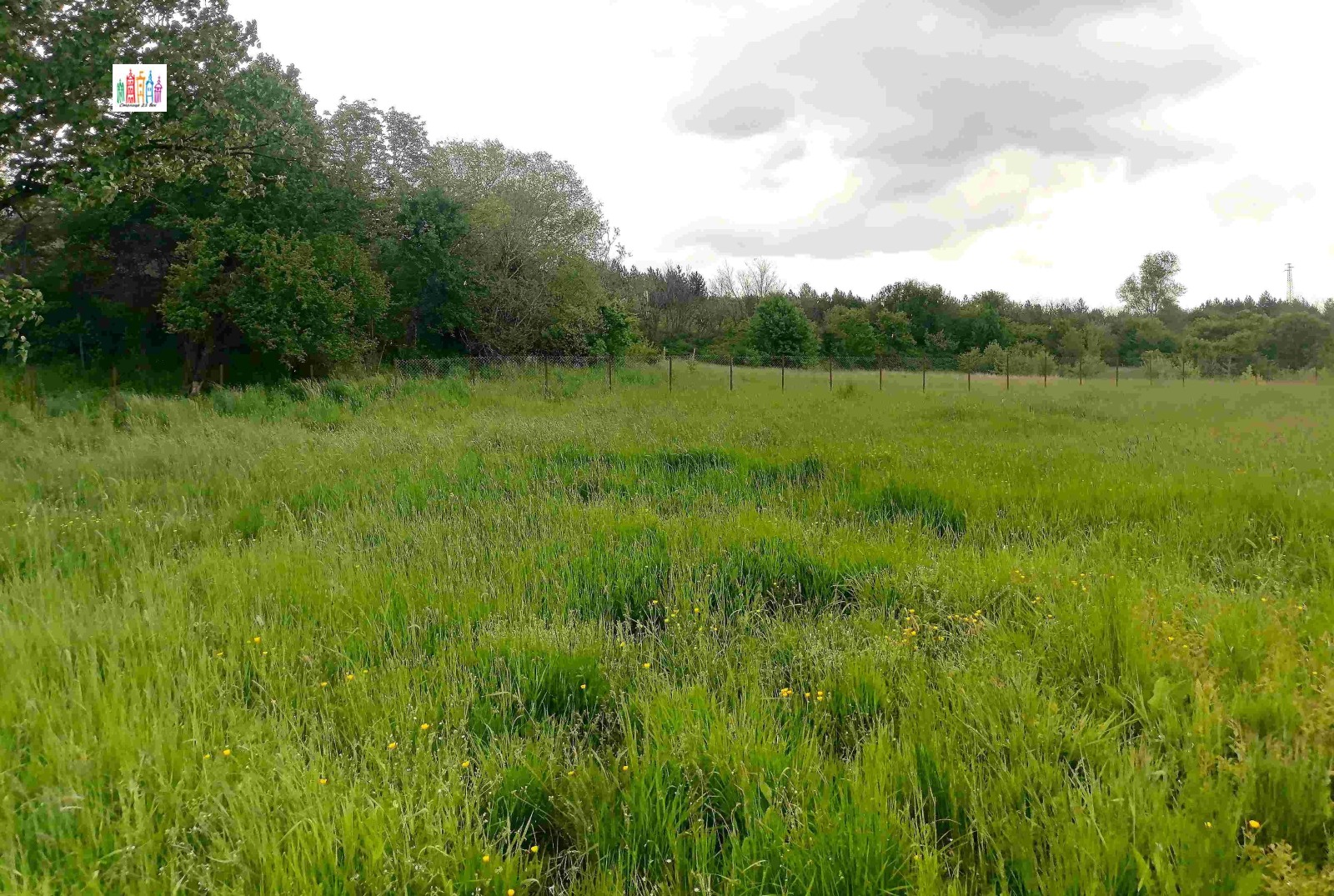Продава ПАРЦЕЛ, гр. Перник, Църква, снимка 4 - Парцели - 55031269