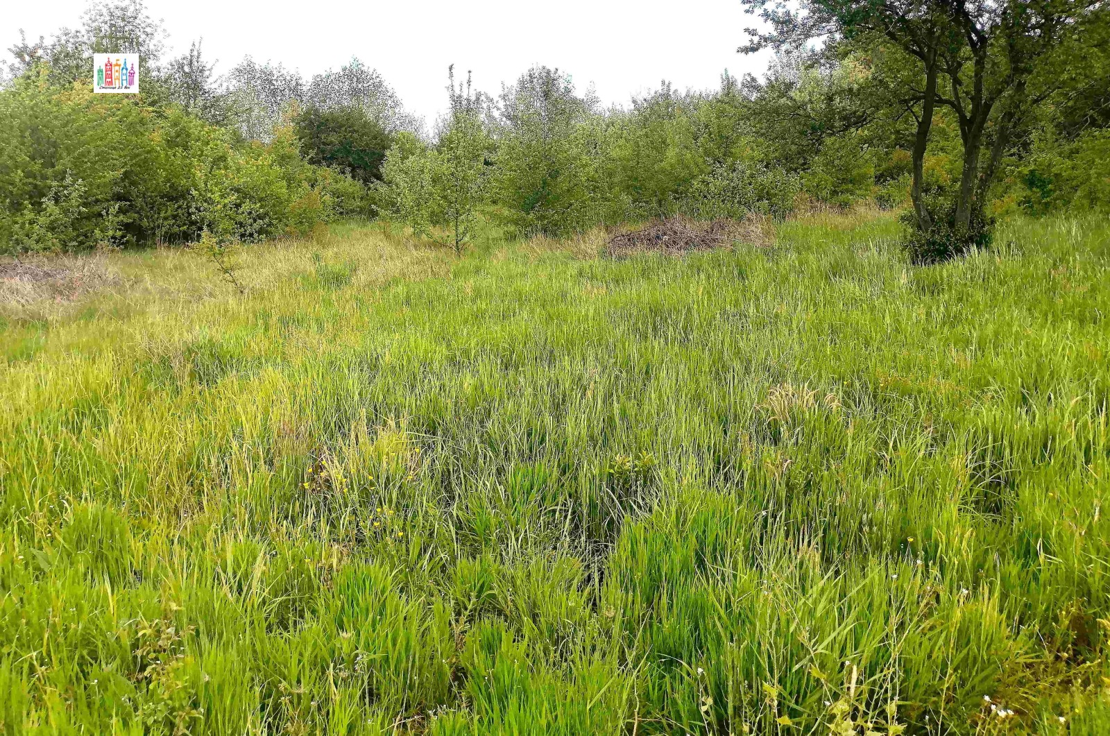 Продава ПАРЦЕЛ, гр. Перник, Църква, снимка 8 - Парцели - 55031269