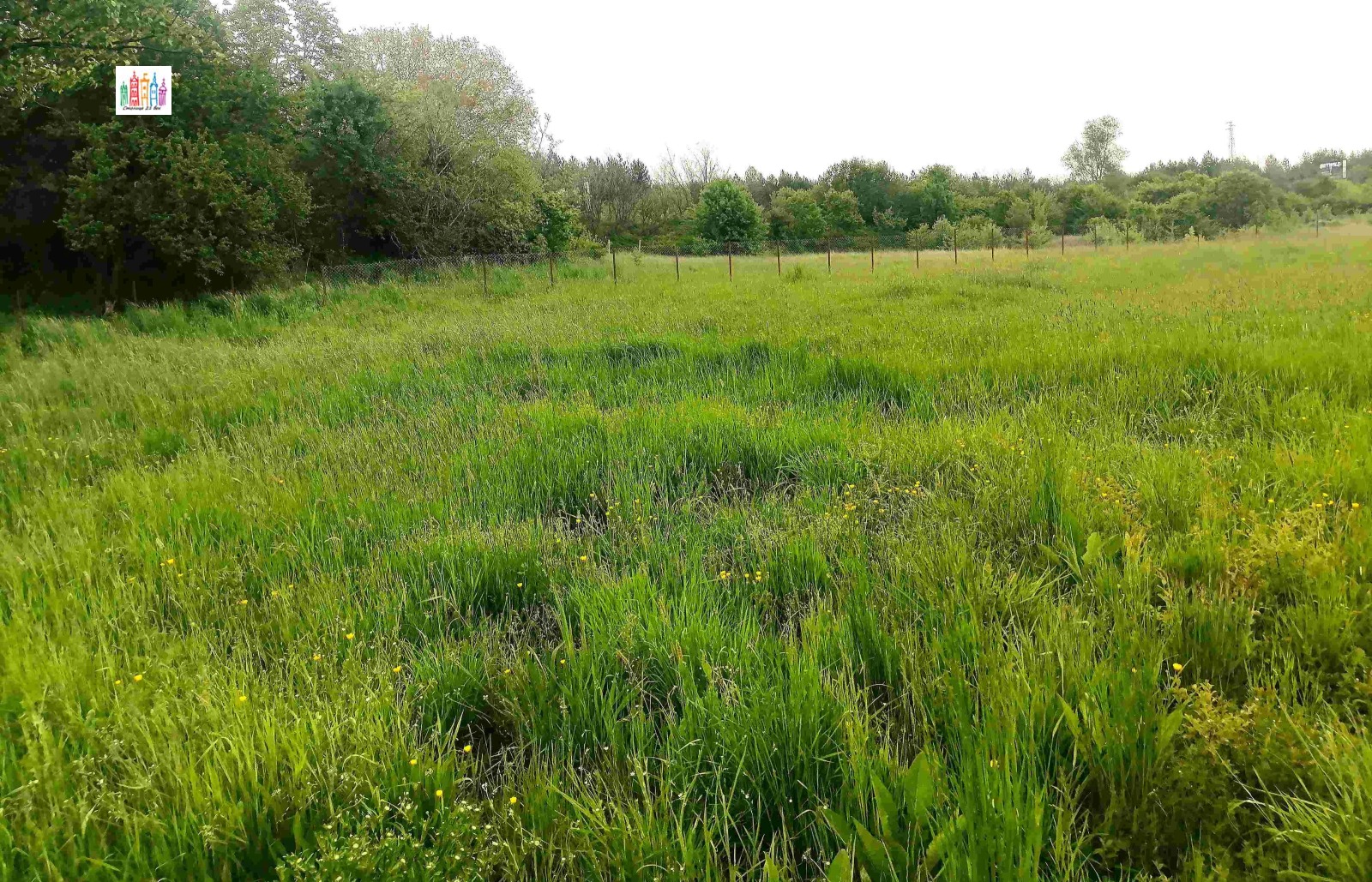 Продава ПАРЦЕЛ, гр. Перник, Църква, снимка 6 - Парцели - 55031269