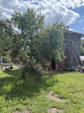 Продава ПАРЦЕЛ, с. Чавдар, област София област, снимка 2