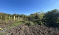 Продава КЪЩА, област Бургас, с. Трояново • 85000 € • 91371362 — Holmes.bg