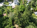 Продава ПАРЦЕЛ, град София, Драгалевци • 700700 € / 1370450.08 лв. • 31658119 12