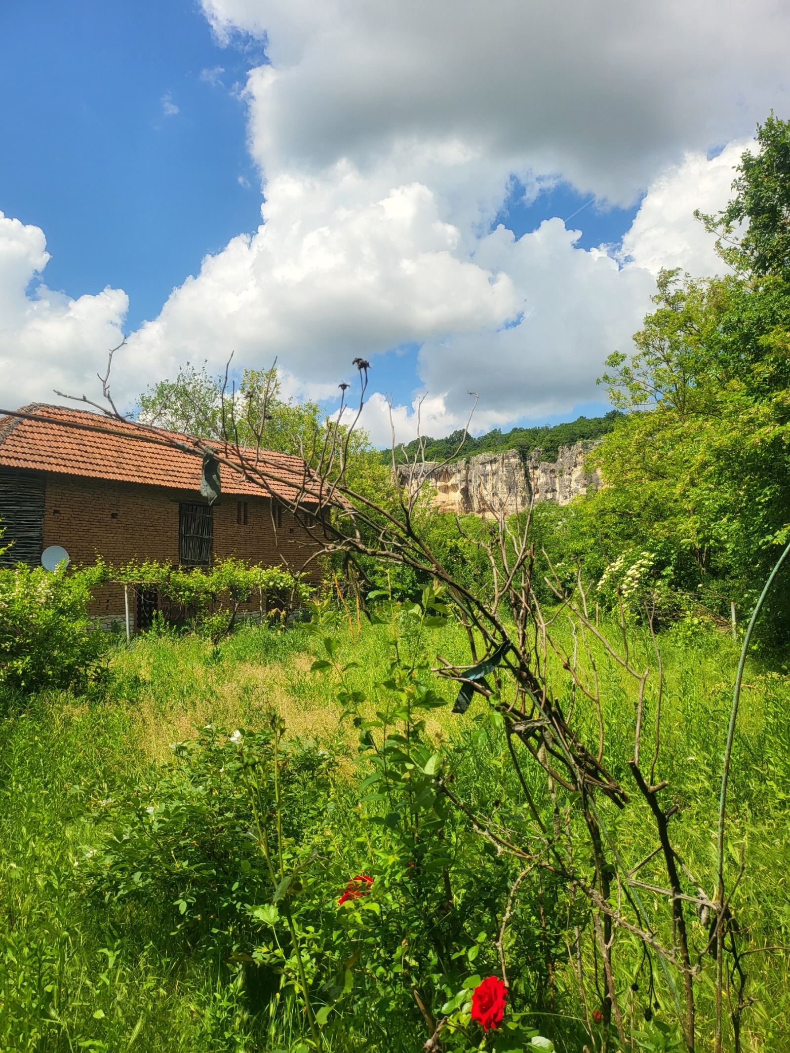 ������� ���� | Imot.bg � ����������� 16