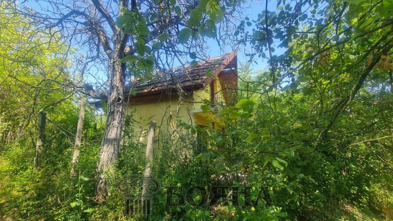 Myytävänä  Talo Ruse , v.z. Rusofili , 25 neliömetriä | 34242206 - kuva [3]
