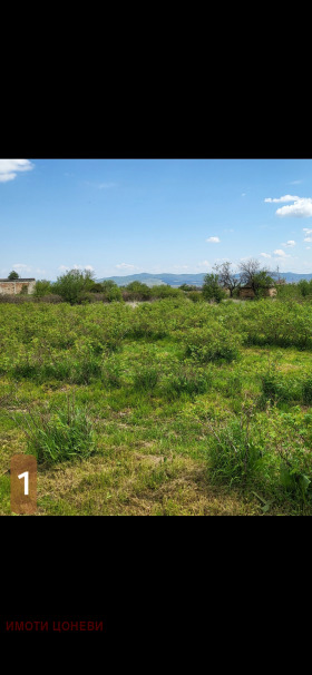Продажба на имоти в с. Конаре, област Стара Загора - изображение 2 