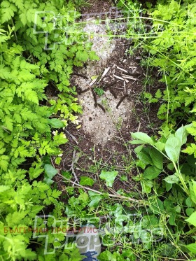 ������� ���� | Imot.bg � ����� ������ 10