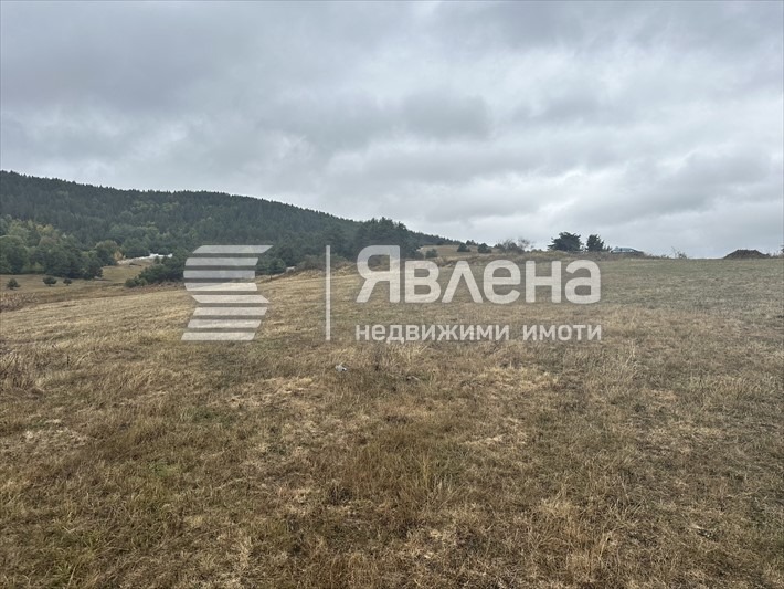 Продава ПАРЦЕЛ, яз. Батак, област Пазарджик, снимка 2 - Парцели - 55409624