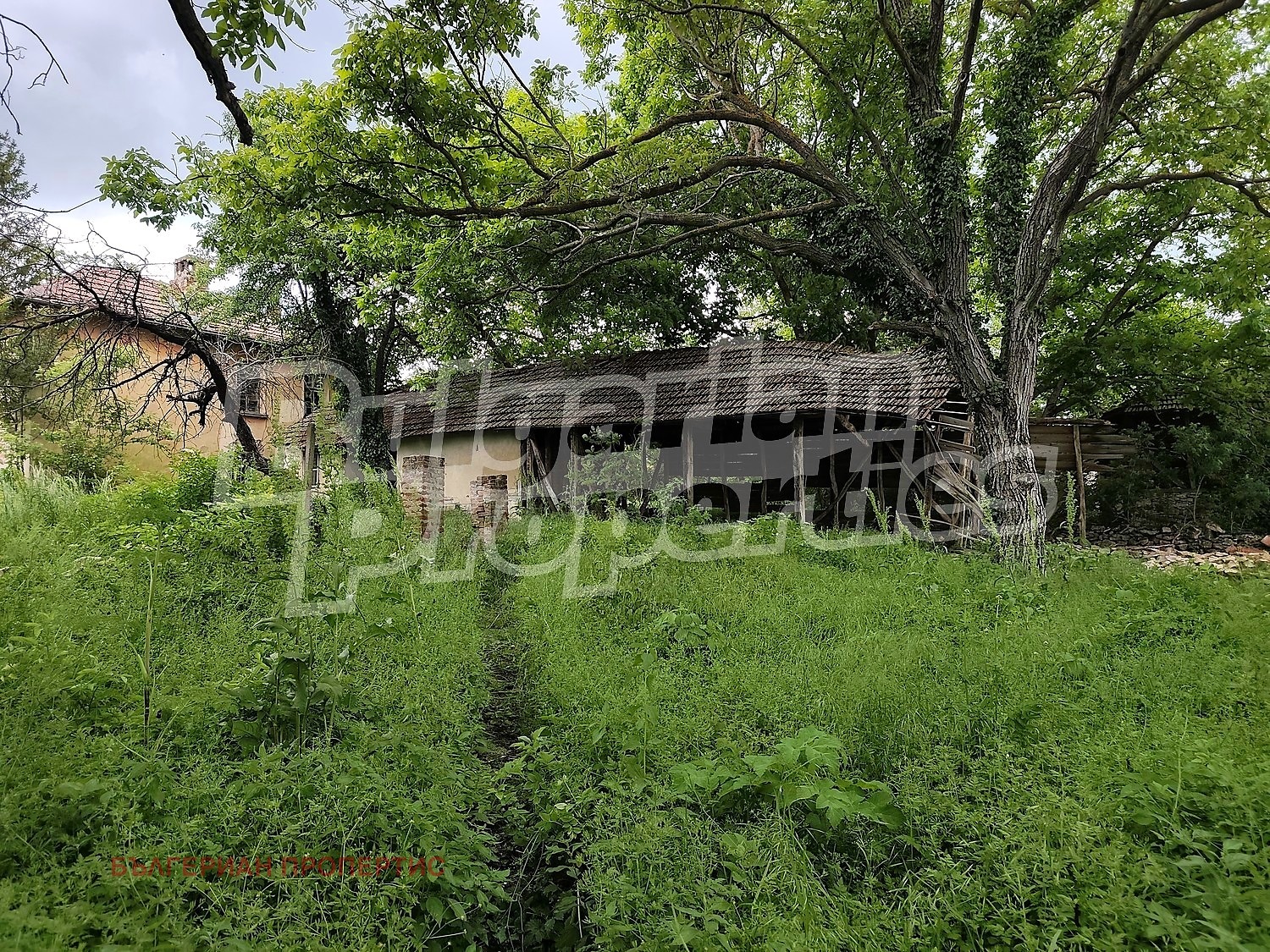 Продава КЪЩА, с. Горско Сливово, област Ловеч, снимка 9 - Къщи - 54760503