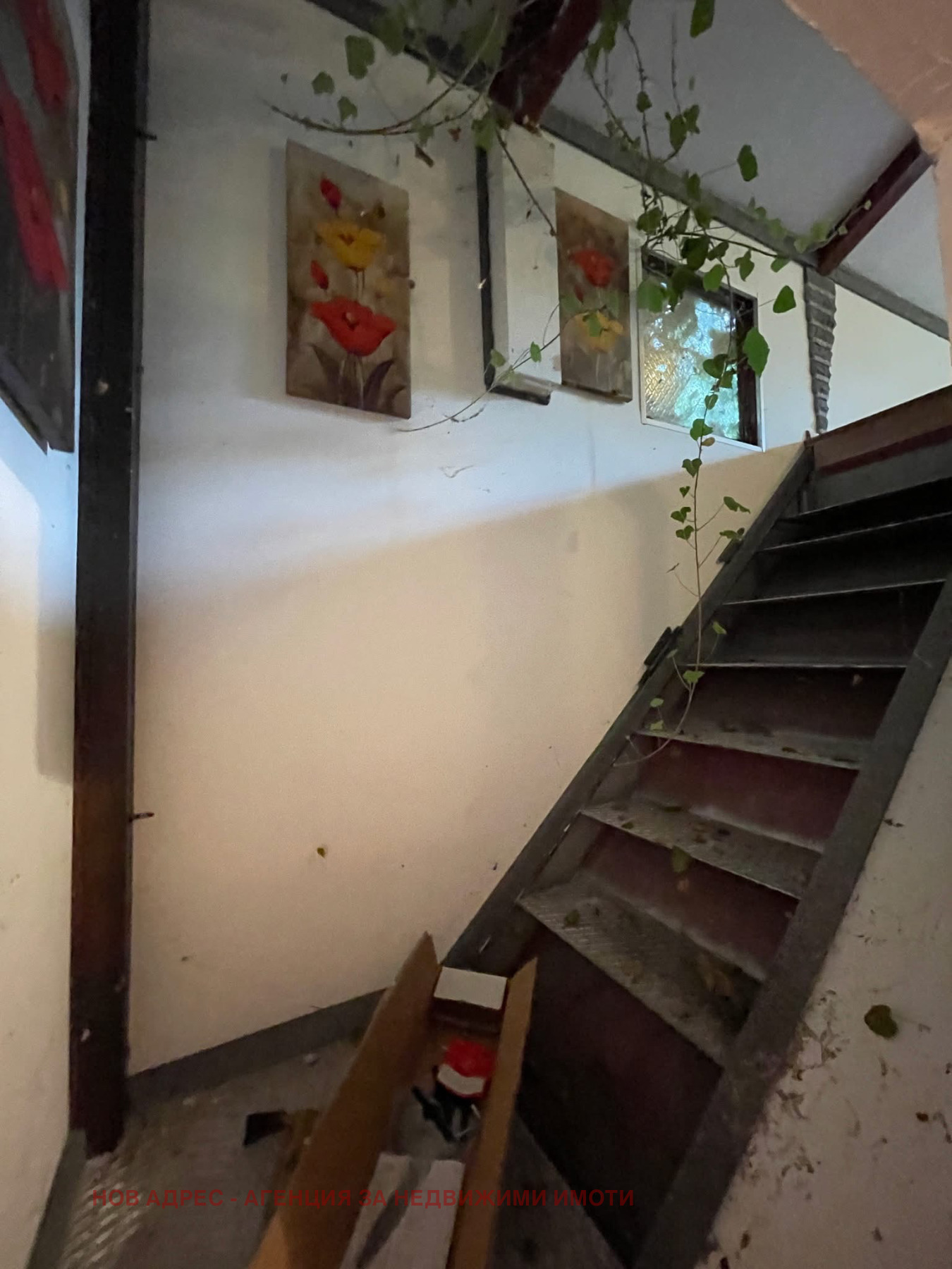 ������� ���� | Imot.bg � ����������� 8