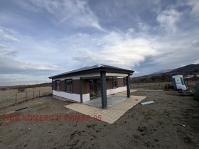 ������ ������� ����