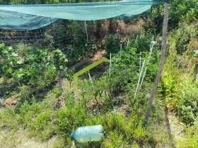 ������� ������ | Imot.bg � ����� ������ 9