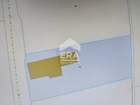 ������ ������� ������