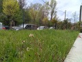 Продава  Ателие, таван град София , Подуяне , 37 кв.м | 73016191 - изображение [4]