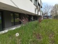 Продава  Ателие, таван град София , Подуяне , 37 кв.м | 73016191 - изображение [3]