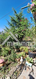 Продава  Къща град Варна , м-т Планова , 108 кв.м | 40220729 - изображение [15]