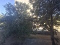 Продава 3-СТАЕН, град София, Люлин 1 • 177000 € • 36451606 — Holmes.bg