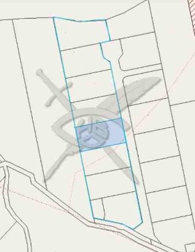 ������ ������� ������