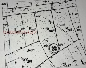 ������ ������� ���������� ����