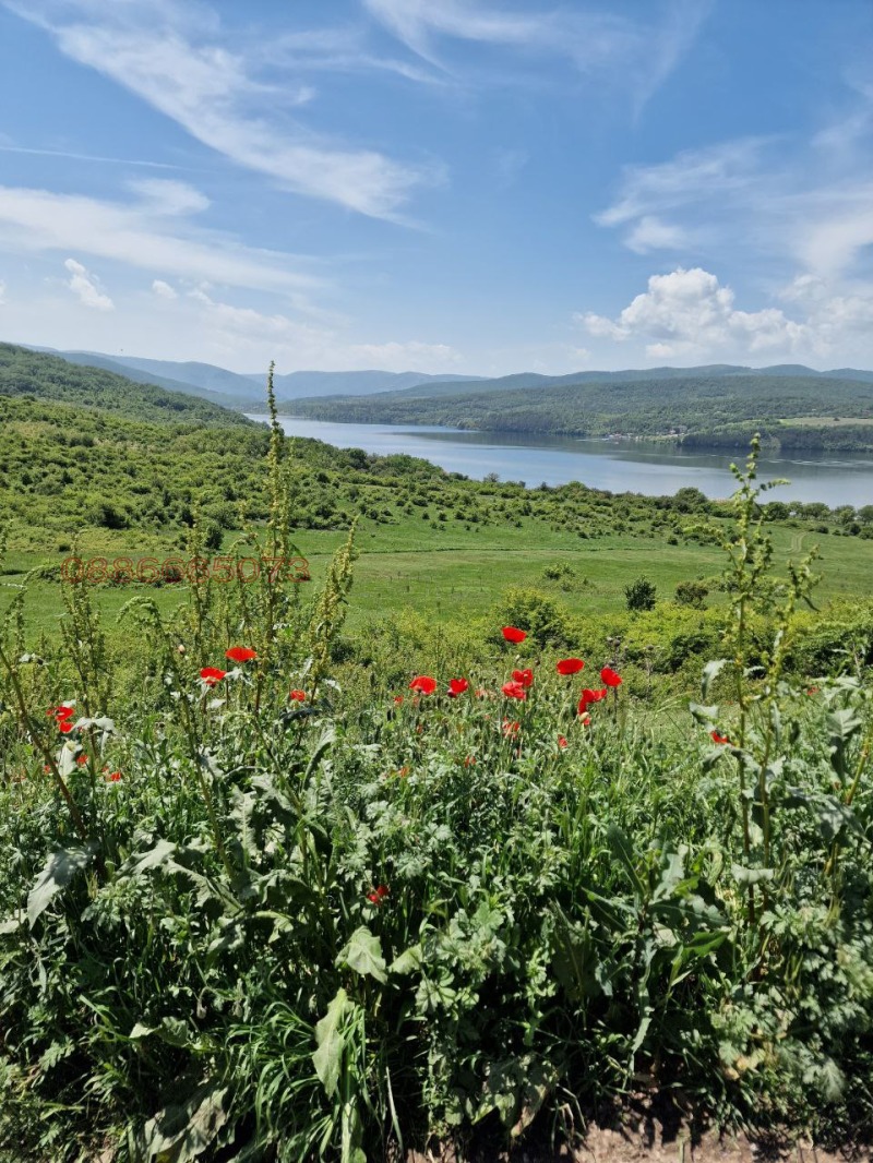 De vânzare  Teren regiunea Sofia , Vladaia , 200 dka | 10873279