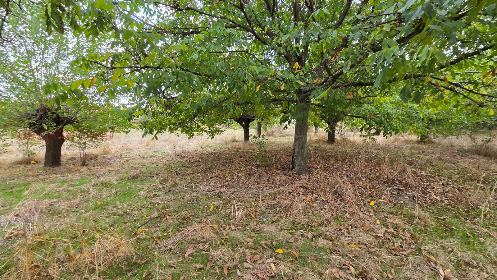 Продава КЪЩА, гр. Гълъбово, област Стара Загора, снимка 6 - Къщи - 56168652