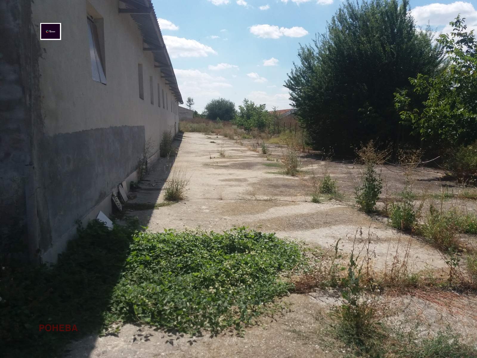Продава СКЛАД, с. Левски, област Варна, снимка 2 - Складове - 46815170