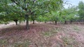 Продава КЪЩА, гр. Гълъбово, област Стара Загора, снимка 7