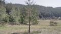 Продава ПАРЦЕЛ, с. Баня, област Благоевград, снимка 2