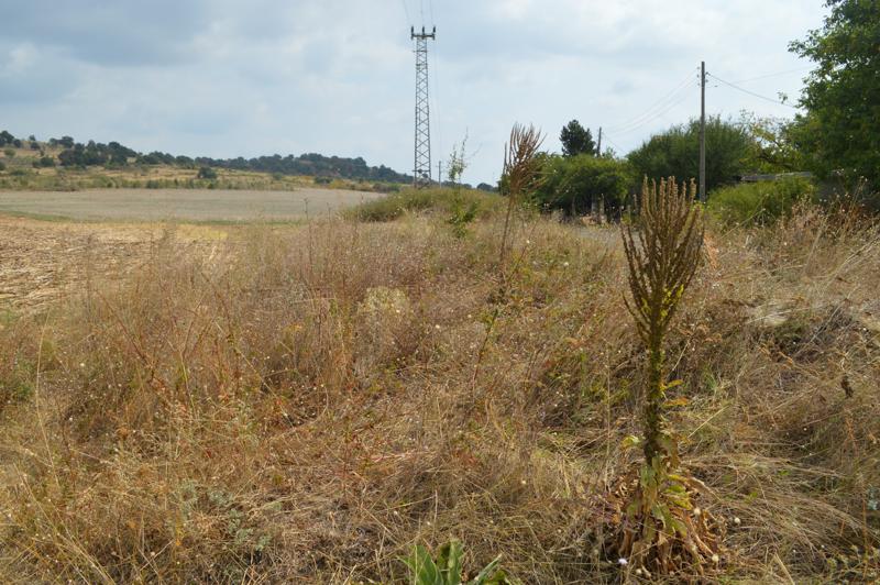 Продава ПАРЦЕЛ | Imot.bg — изображение 10