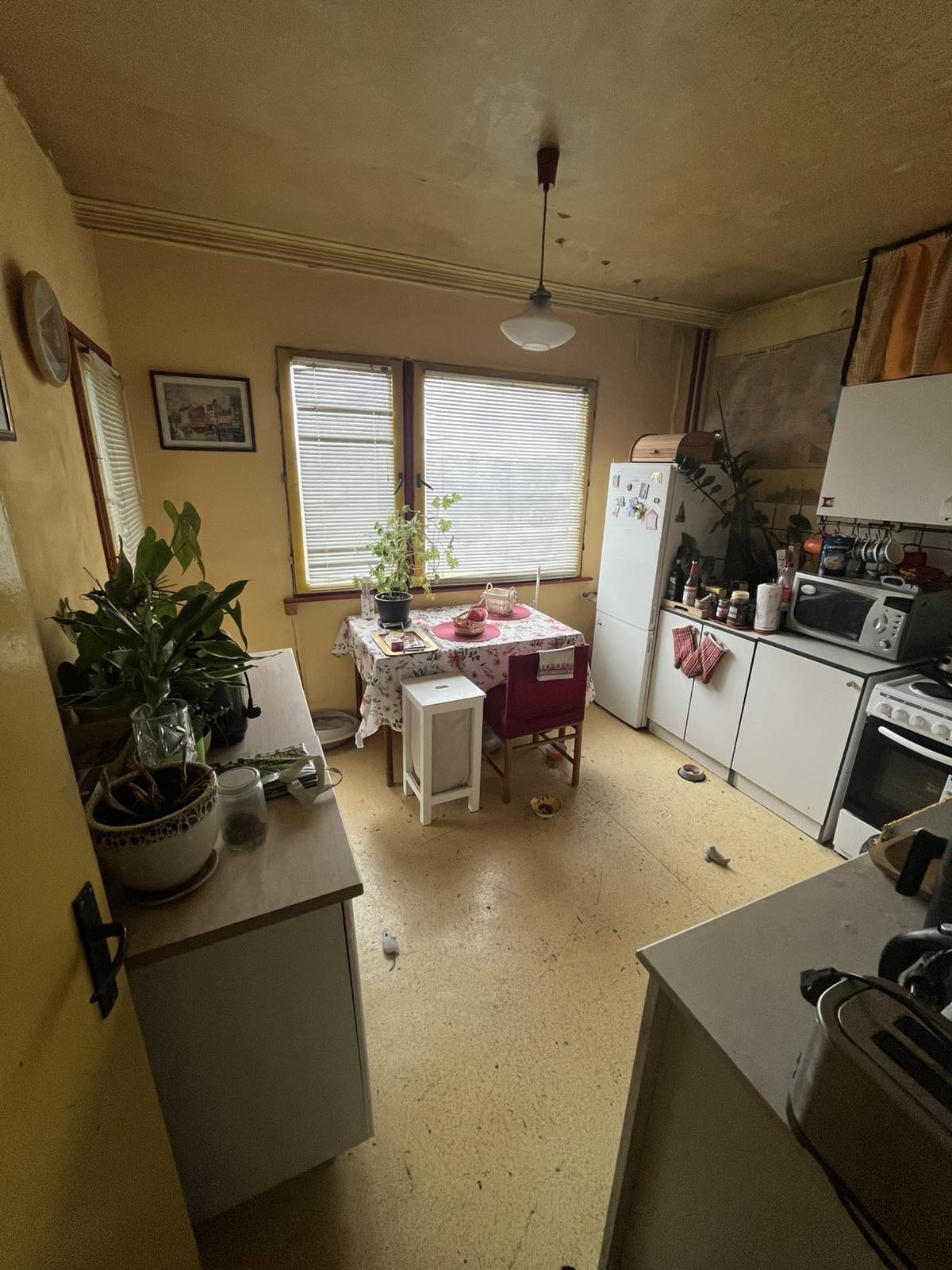 ������� 3-����� | Imot.bg � ����������� 1