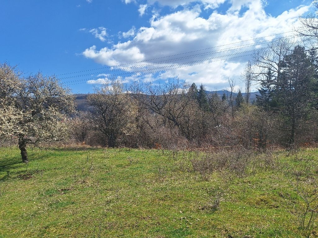 ������� ������ | Imot.bg � ����������� 7