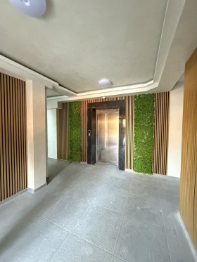 ����� ������� 2-�����,���� �����, ����� ����