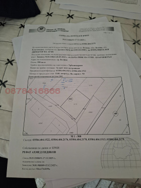 ����� ������� ������,��. ������, ������ �����������