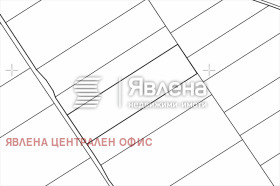 ����� ������� ������,���� �����, ��. ���� �����