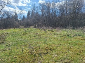 ������� ������ | Imot.bg � ����� ������ 6