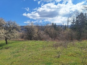 ������� ������ | Imot.bg � ����� ������ 7