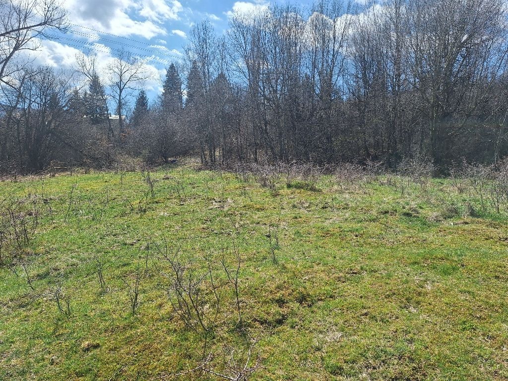 Продава ПАРЦЕЛ, гр. София, с. Владая, снимка 5 - Парцели - 54137652