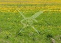 Продава ПАРЦЕЛ, област Пловдив, с. Първенец • 170720 € • 48070348 — Holmes.bg