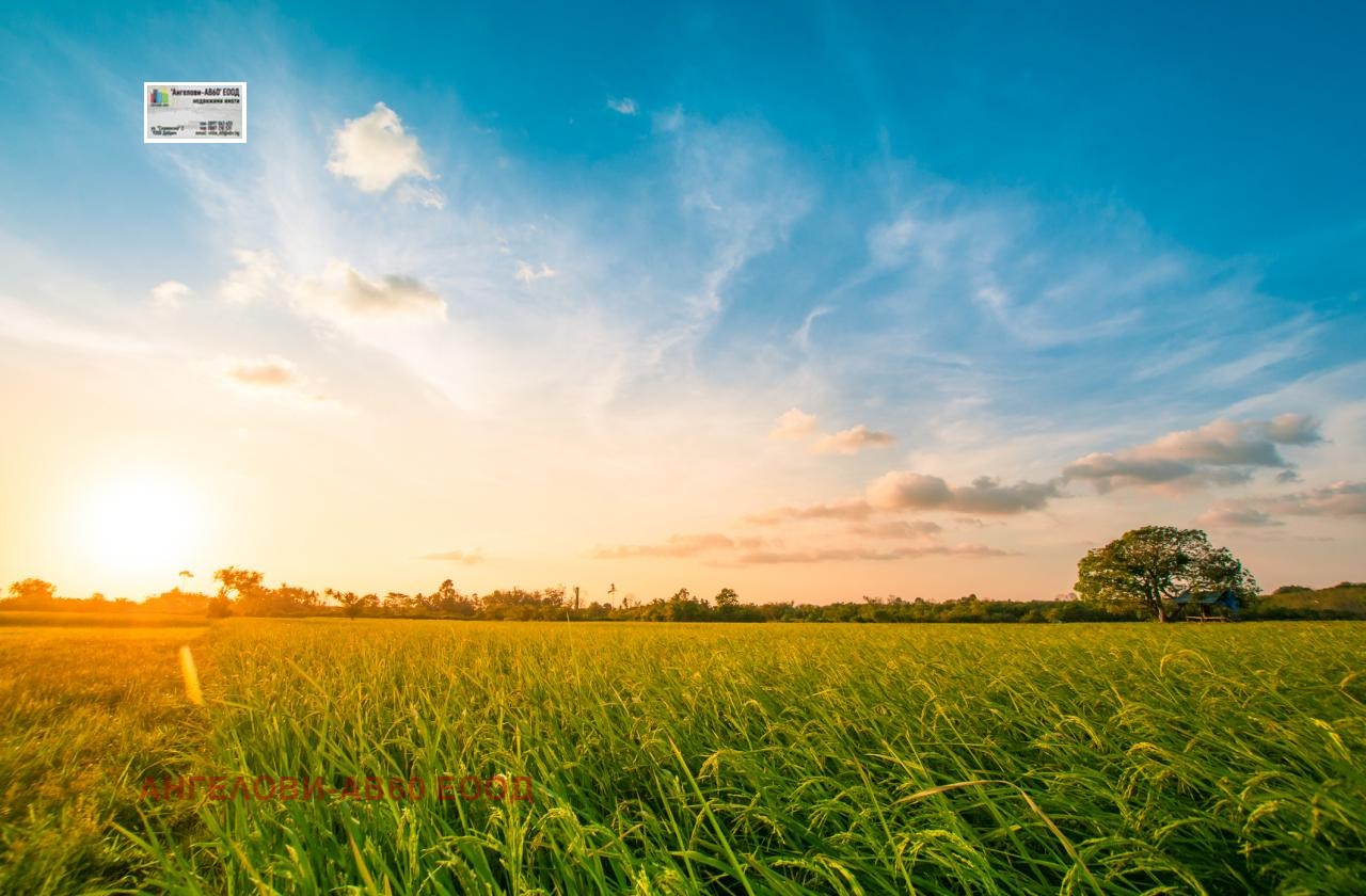 ������� ���������� ���� | Imot.bg � ����������� 1