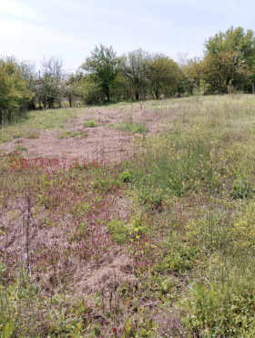 ������� ������ | Imot.bg � ����� ������ 2