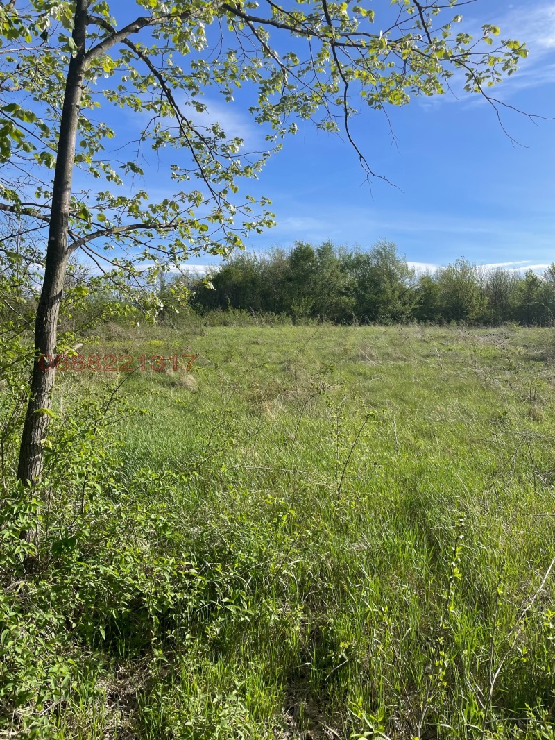 Продава ПАРЦЕЛ, с. Велчево, област Велико Търново, снимка 3 - Парцели - 52781900