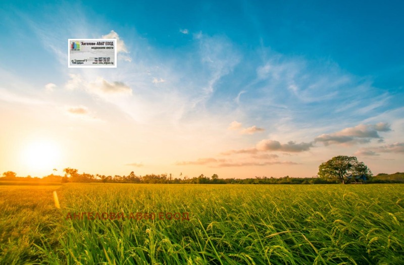 Продава ЗЕМЕДЕЛСКА ЗЕМЯ, с. Пленимир, област Добрич