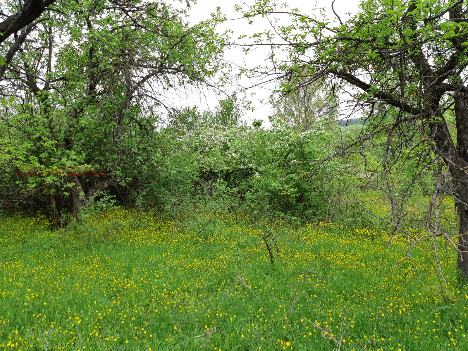 Продава КЪЩА | Imot.bg — изображение 5