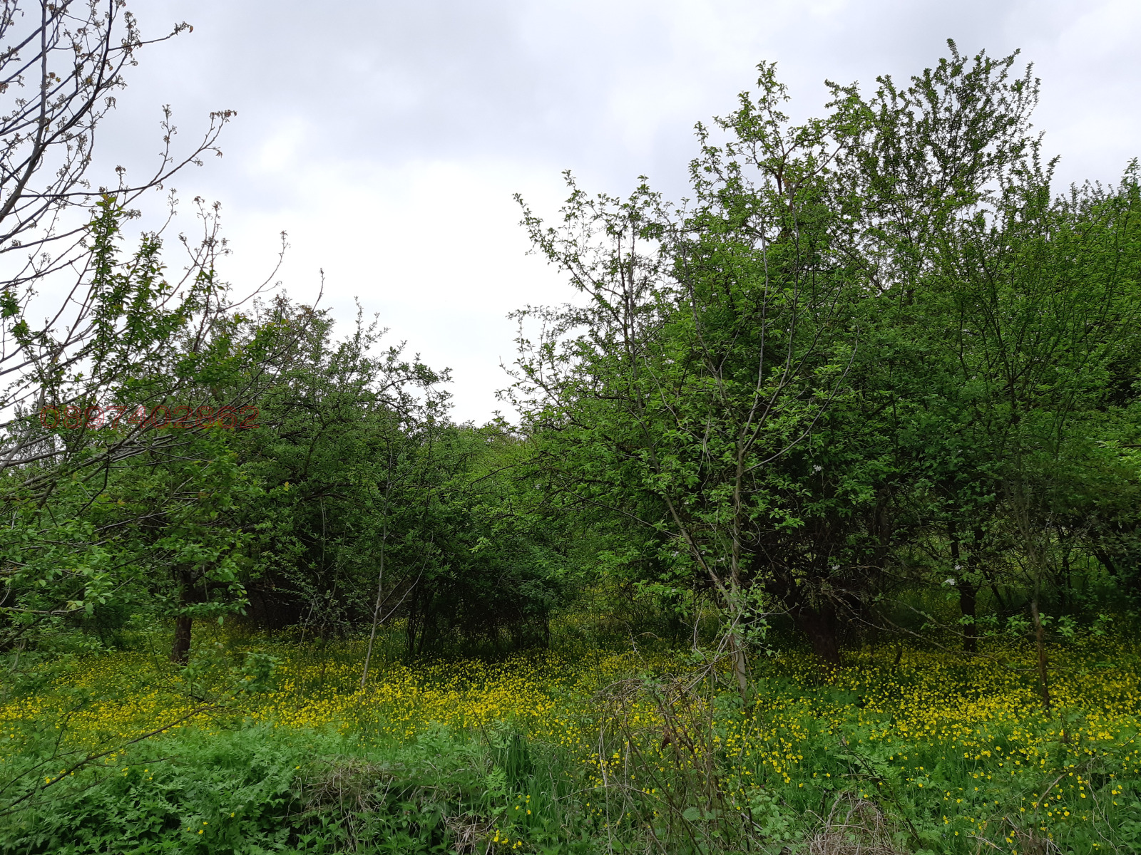 Продава КЪЩА | Imot.bg — изображение 7